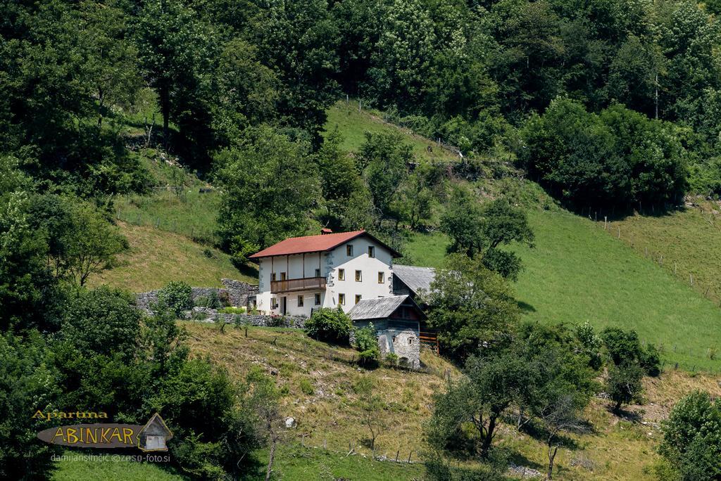Apartment Abinkar Tolmin Bagian luar foto